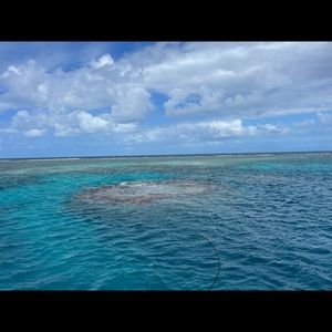 Meet your Posher, Sophie